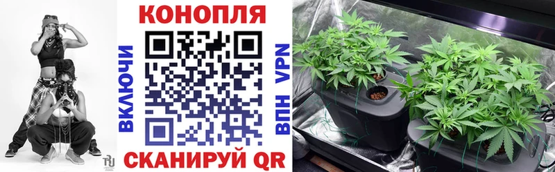 Где купить Александровск-Сахалинский АМФЕТАМИН Меф мяу мяу APVP ГАШ Конопля