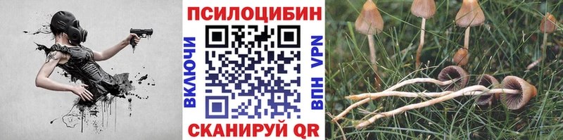 площадка какой сайт Александровск-Сахалинский Псилоцибиновые грибы Cubensis гидра
